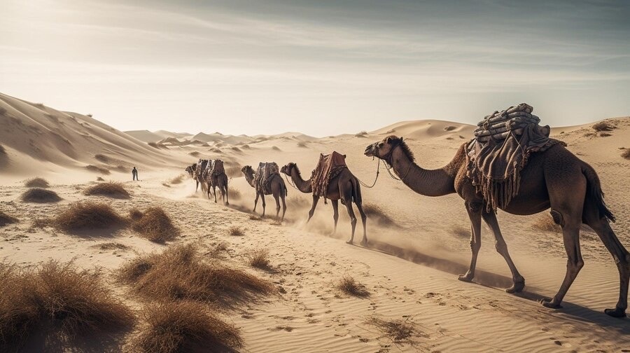 Федор Конюхов пересечет ОАЭ на верблюдах за две недели