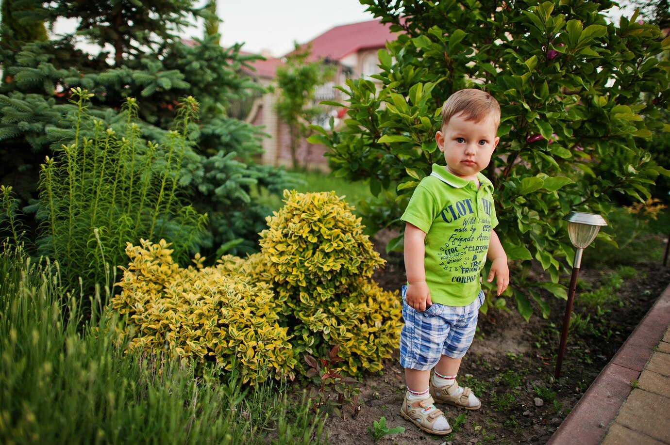 мальчик ребенок сад дача огород грядка клумба