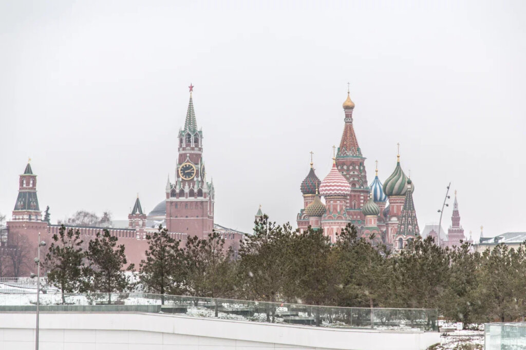 Московские таможенники нашли живых муравьев в посылке из Таиланда