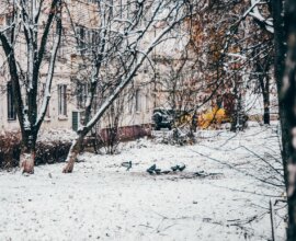 Синоптик Вильфанд предрек аномально теплый декабрь по всей России